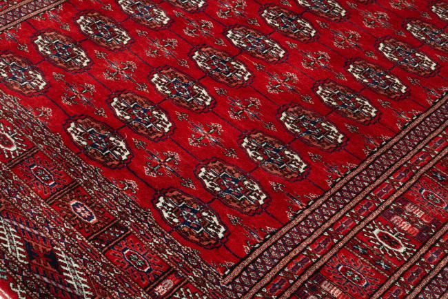 Pakistan Buchara 3ply - 4