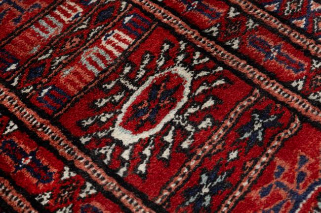 Pakistan Buchara 3ply - 10