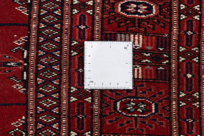 Pakistan Buchara 3ply - 11