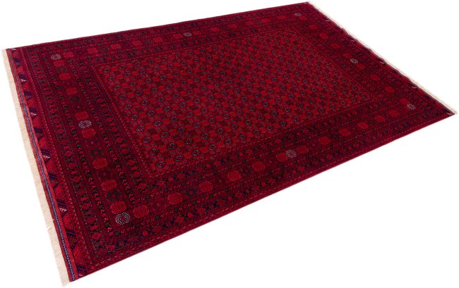 Afghan Mauri - 2