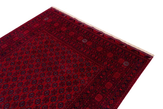 Afghan Mauri - 3
