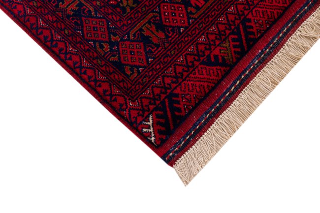 Afghan Mauri - 5