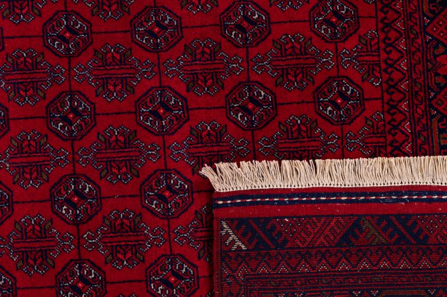 Afghan Mauri - 6
