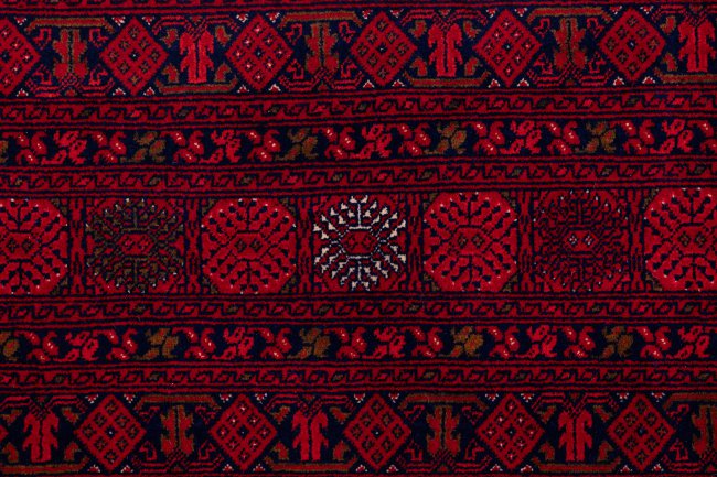 Afghan Mauri - 7
