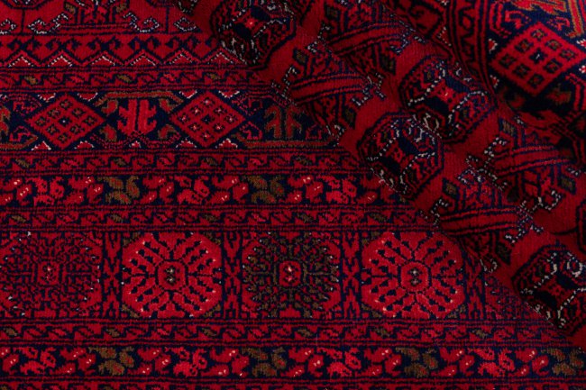Afghan Mauri - 8