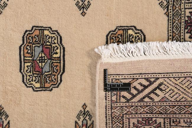 Pakistan Buchara 2ply - 1