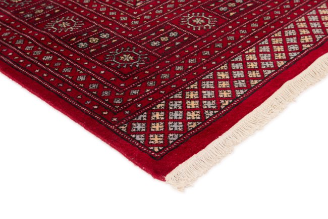 Pakistan Buchara 2ply - 3