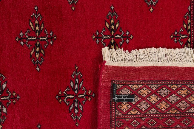 Pakistan Buchara 2ply - 1