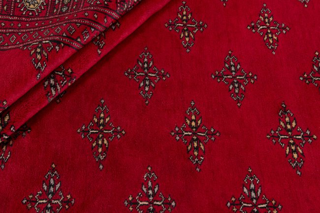 Pakistan Buchara 2ply - 2