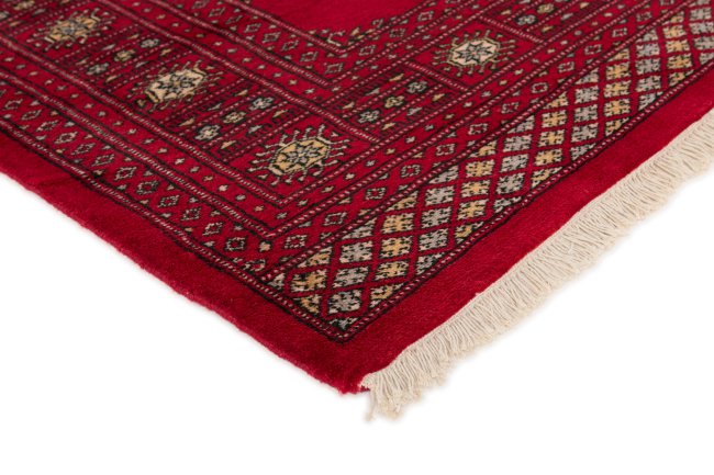 Pakistan Buchara 2ply - 3
