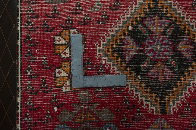 Shiraz - 4