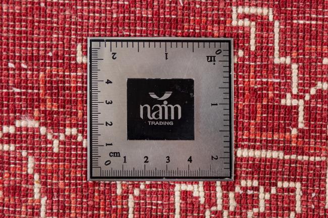 Colored Ziegler - 10