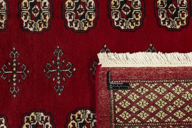 Pakistan Buchara 2ply - 1