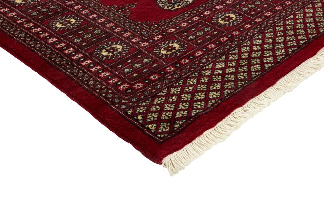Pakistan Buchara 2ply - 3