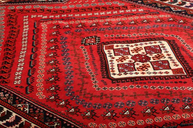 Shiraz - 8