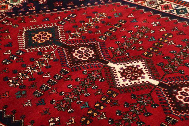 Shiraz - 6