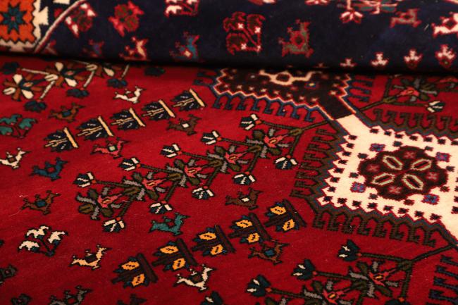 Shiraz - 9