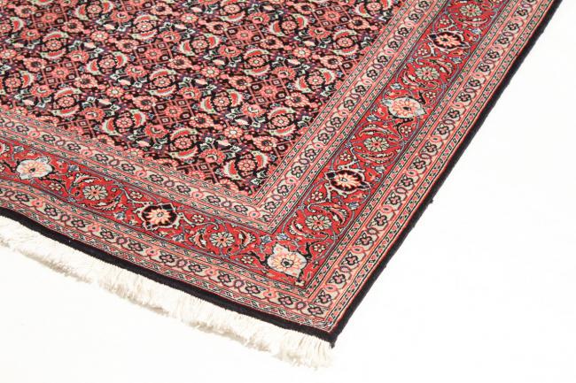 Tabriz 50Raj Mahi - 2