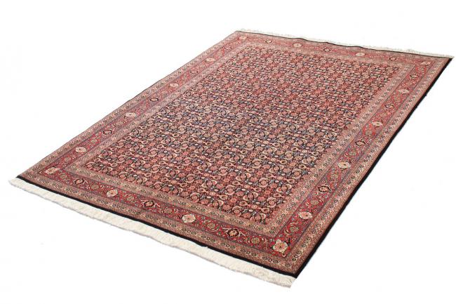 Tabriz 50Raj Mahi - 6