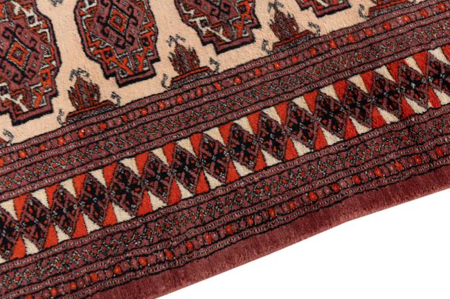 Pakistan Buchara 2ply - 4