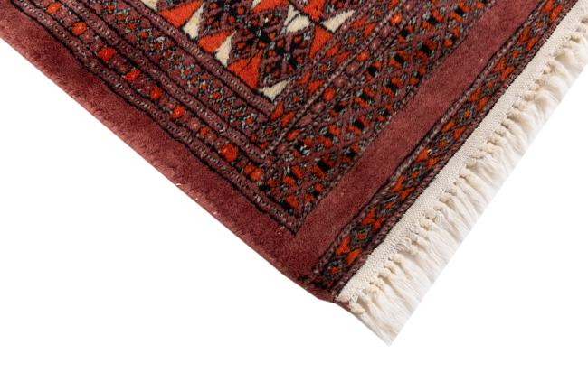 Pakistan Buchara 2ply - 5