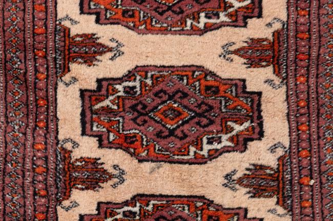 Pakistan Buchara 2ply - 6