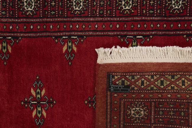 Pakistan Buchara 2ply - 1