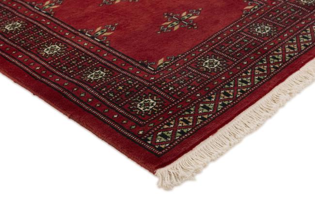 Pakistan Buchara 2ply - 3