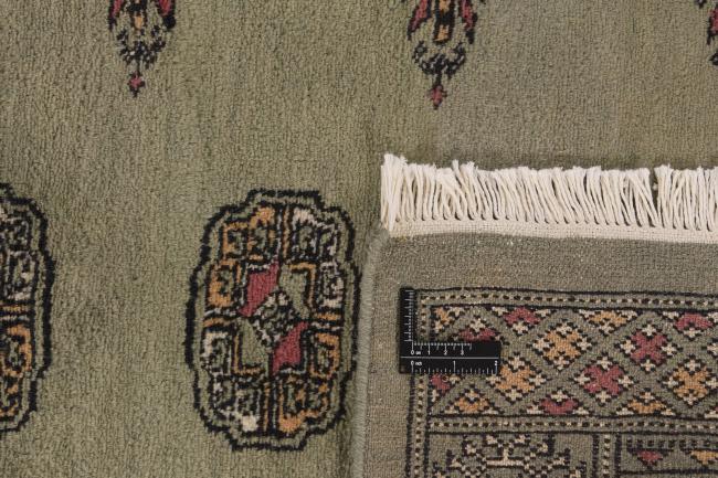 Pakistan Buchara 3ply - 1