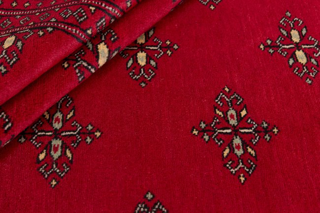 Pakistan Buchara 2ply - 2