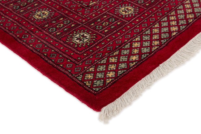 Pakistan Buchara 2ply - 3