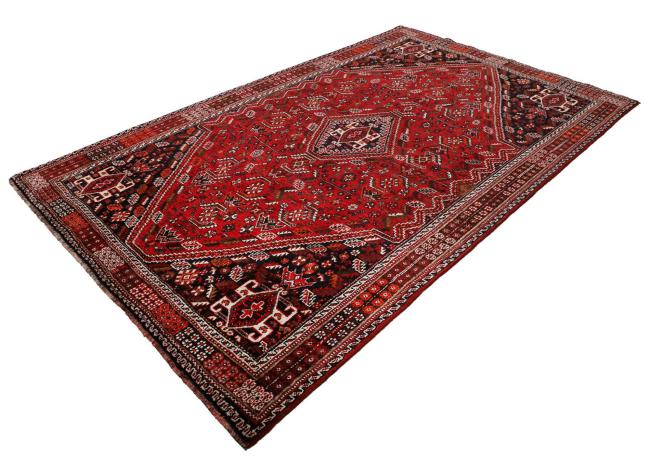 Shiraz - 3
