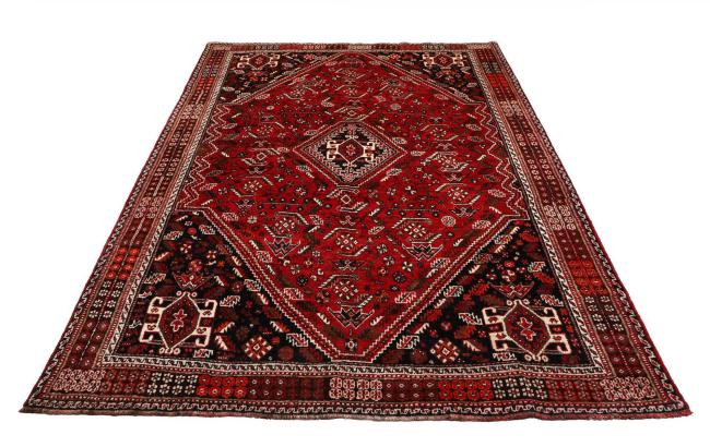 Shiraz - 5