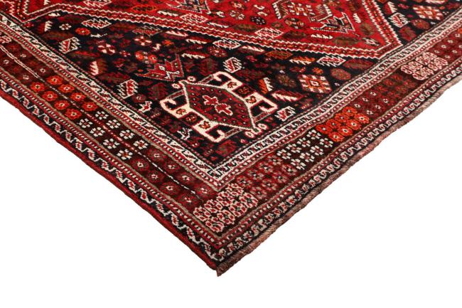 Shiraz - 6