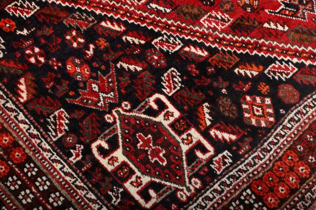 Shiraz - 7