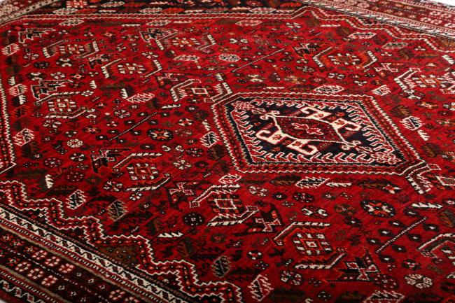 Shiraz - 8