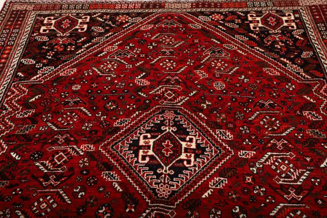Shiraz - 9