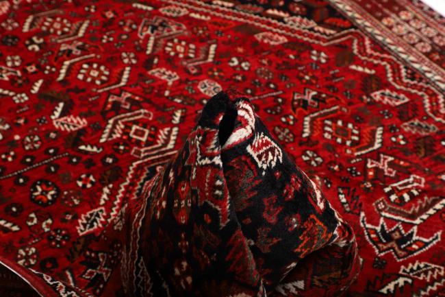 Shiraz - 10