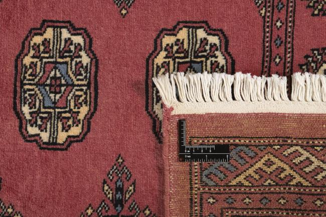 Pakistan Buchara 2ply - 1