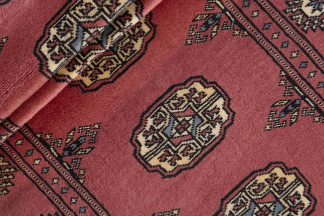 Pakistan Buchara 2ply - 2