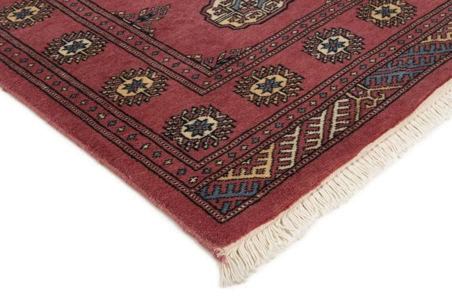 Pakistan Buchara 2ply - 3