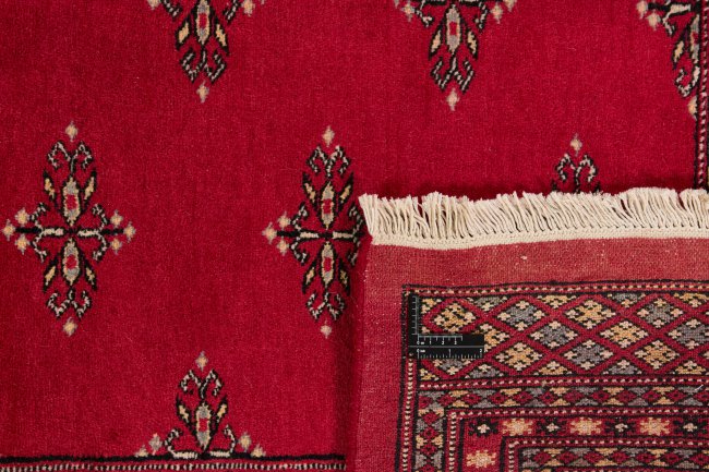 Pakistan Buchara 2ply - 1