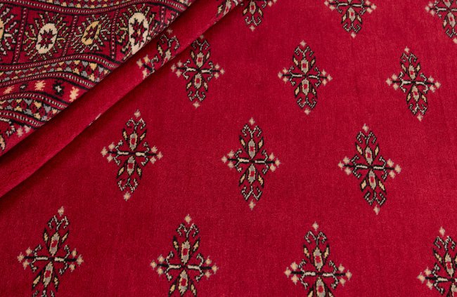 Pakistan Buchara 2ply - 2