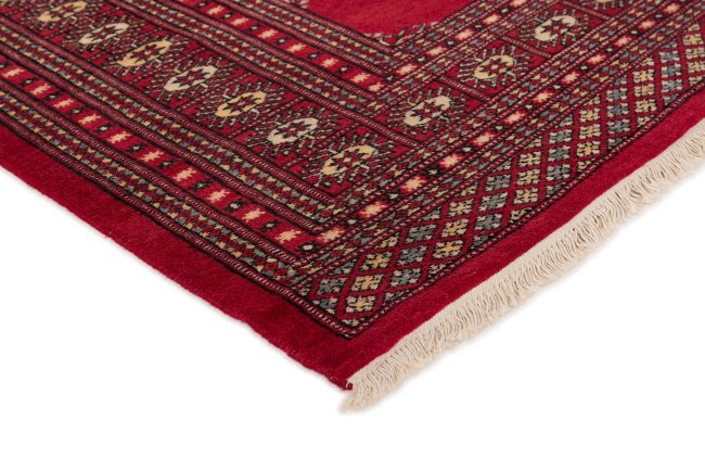 Pakistan Buchara 2ply - 3