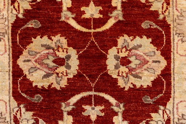 Ziegler Farahan - 7