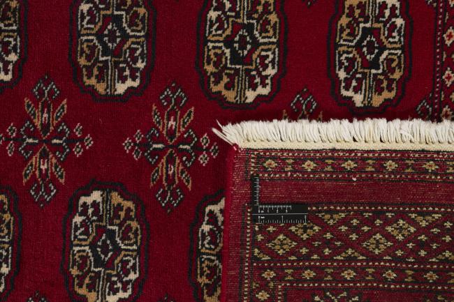 Pakistan Buchara 2ply - 1