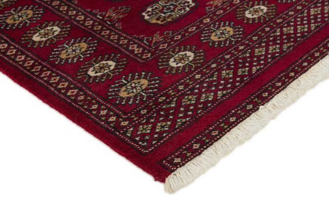 Pakistan Buchara 2ply - 3