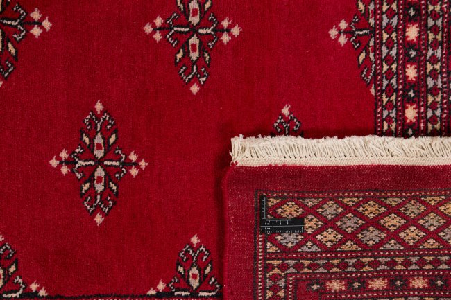 Pakistan Buchara 2ply - 1