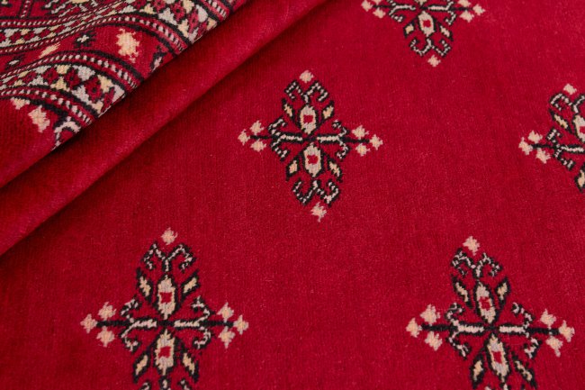 Pakistan Buchara 2ply - 2