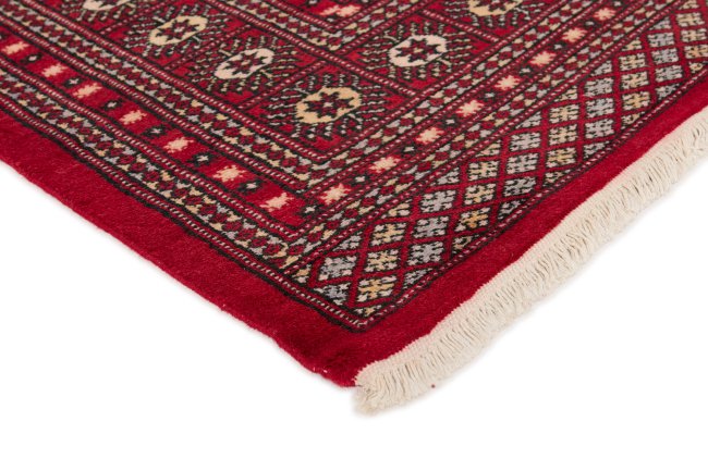 Pakistan Buchara 2ply - 3